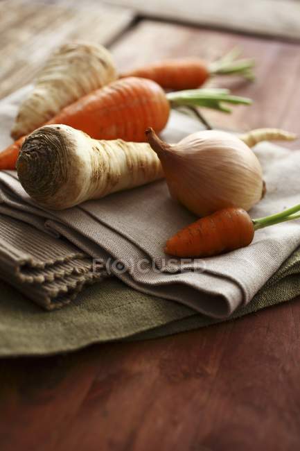 Cebola com cenouras e pastinaga — Fotografia de Stock