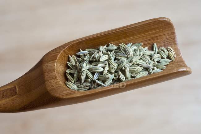 Fennel seeds on scoop — Stock Photo