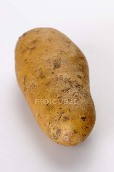 Roh gewaschene Kartoffeln — Stockfoto