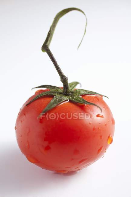 Tomate vermelho maduro fresco — Fotografia de Stock