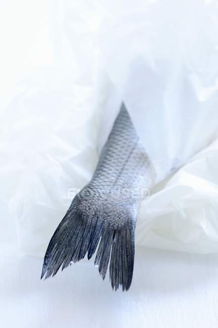 Рыба, завернутая в бумагу — стоковое фото