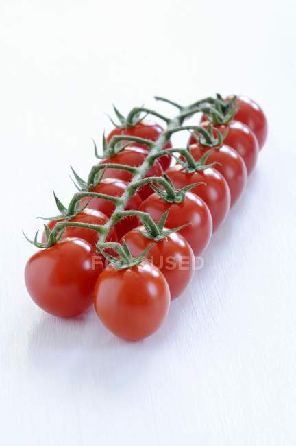 Tomates vermelhos em videira — Fotografia de Stock