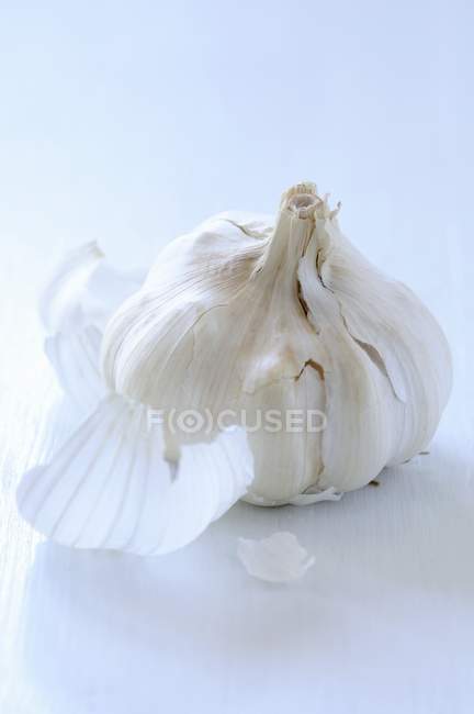 Fresh white Garlic — Stock Photo