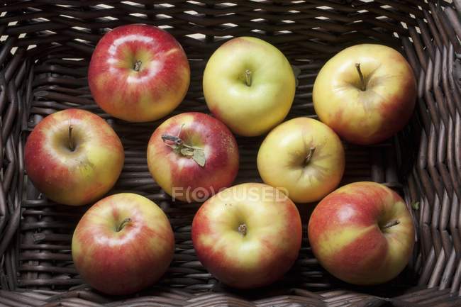 Manzanas Mitsu en el mercado - foto de stock