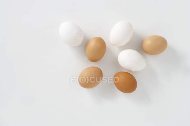 Huevos blancos y marrones - foto de stock