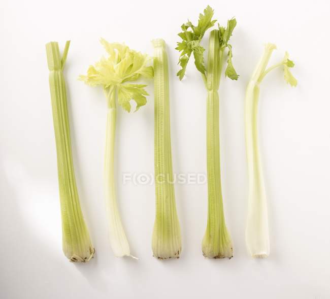 Fresh Celery stalks — Stock Photo
