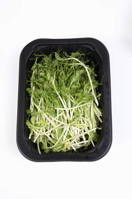 Brotos de ervilha em prato preto no fundo branco — Fotografia de Stock