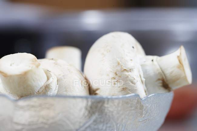 Fresh mushrooms, close-up — Stock Photo