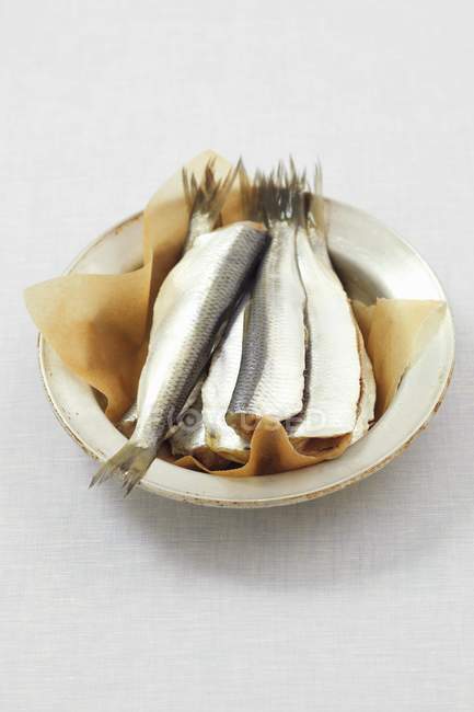Bowl of raw herring with parchment — Stock Photo