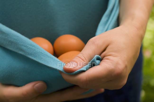 Person Gathering Eggs — Stock Photo