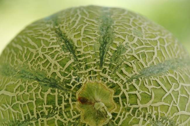 Melon Cantaloup frais — Photo de stock