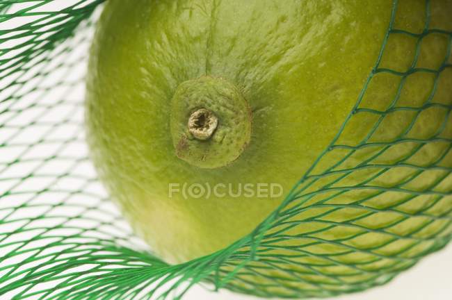 Citron vert dans le filet vert — Photo de stock