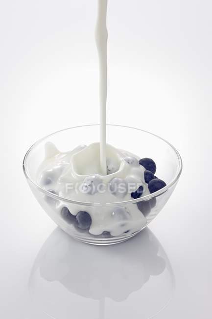 Yogurt pouring on blueberries — Stock Photo