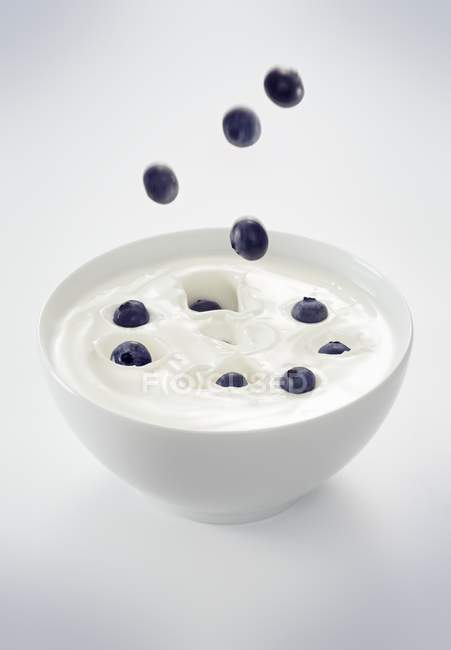 Черника падает в миску с йогуртом — стоковое фото