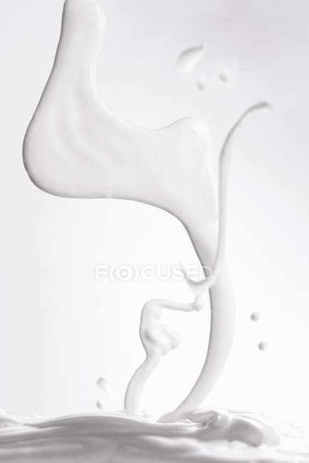 Schizzo di latte, primo piano — Foto stock