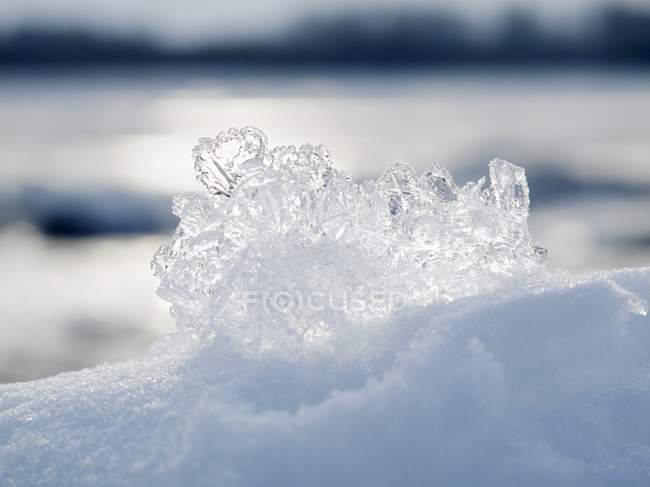 Gros plan sur les cristaux de glace — Photo de stock