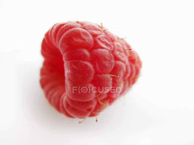Frambuesa roja fresca - foto de stock