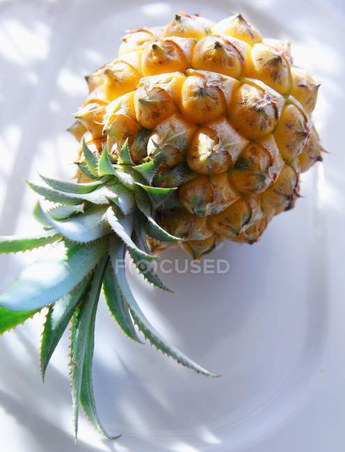 Ganze kleine Ananas — Stockfoto