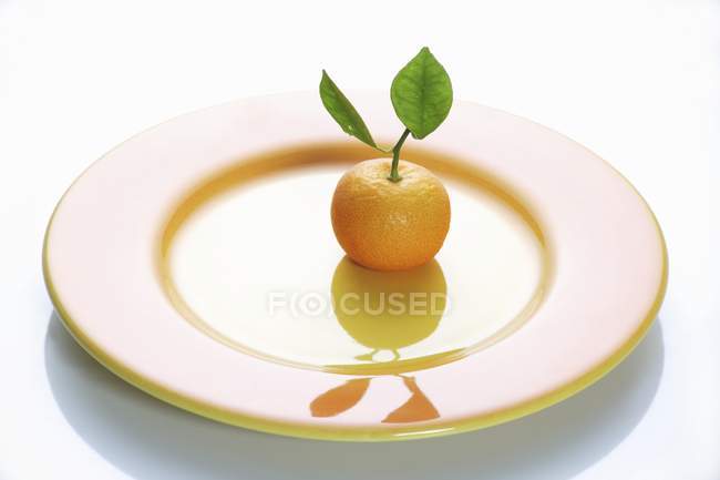 Clementina con hojas - foto de stock