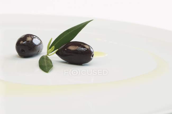 Aceitunas Kalamata con hojas y aceite de oliva - foto de stock