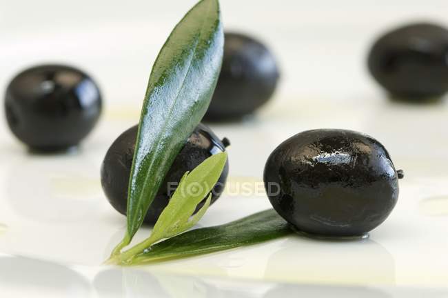 Черные оливки с листьями — стоковое фото