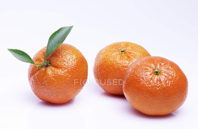 Oranges mandarines fraîches et mûres — Photo de stock