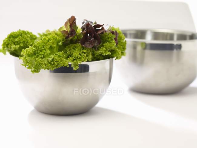 Feuilles de salade de Lollo biondo dans un bol — Photo de stock