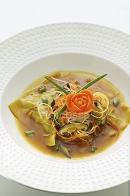 Вонтонський суп з овочами — стокове фото