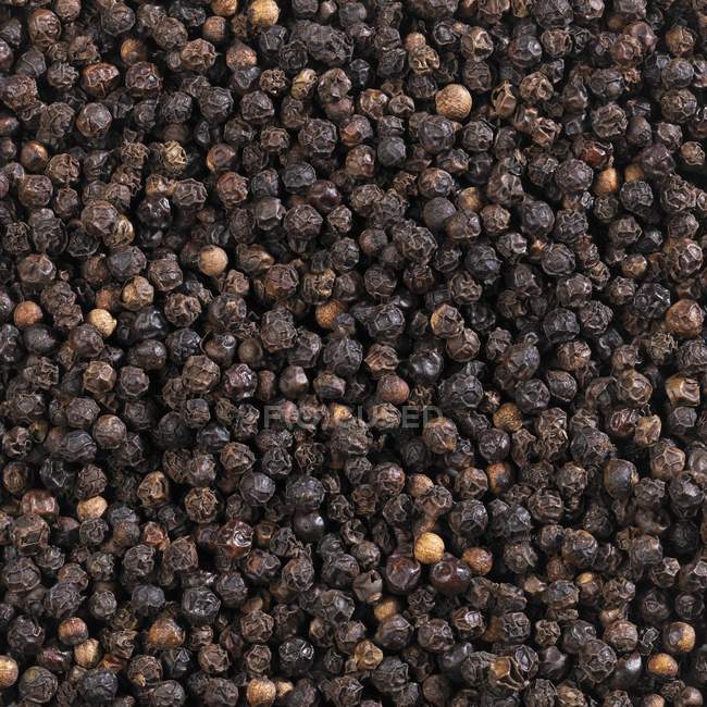 Granos de pimienta negro seco - foto de stock