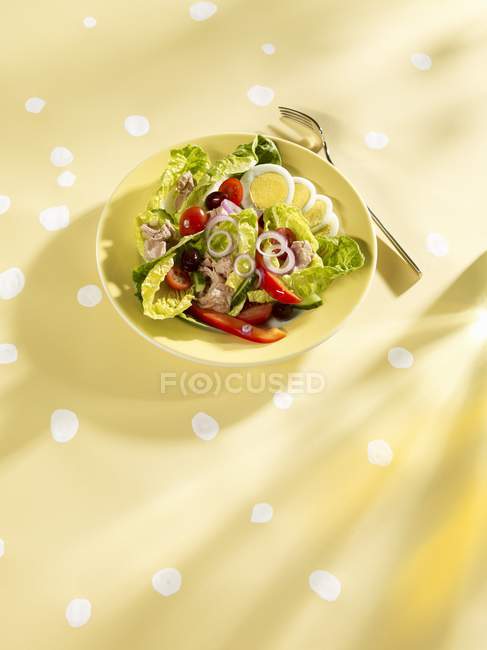 Salada de pizza com atum e ovo fatiado — Fotografia de Stock