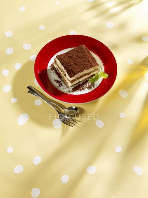 Tiramisu on plate and on table — Stock Photo