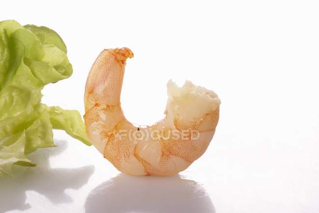 Vista close-up de camarão cozido e folha de alface na superfície branca — Fotografia de Stock