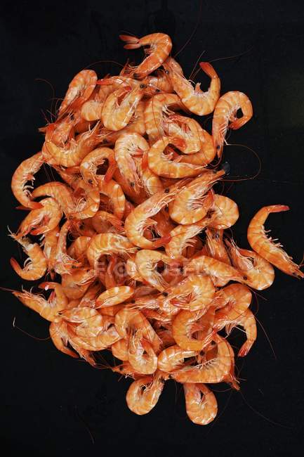 Cooked deep-sea prawns — Stock Photo