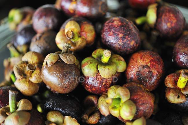 Mangostões maduros frescos — Fotografia de Stock
