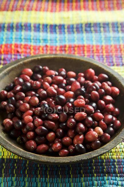 Fresh Cranberries in Wooden Bowl — Stock Photo