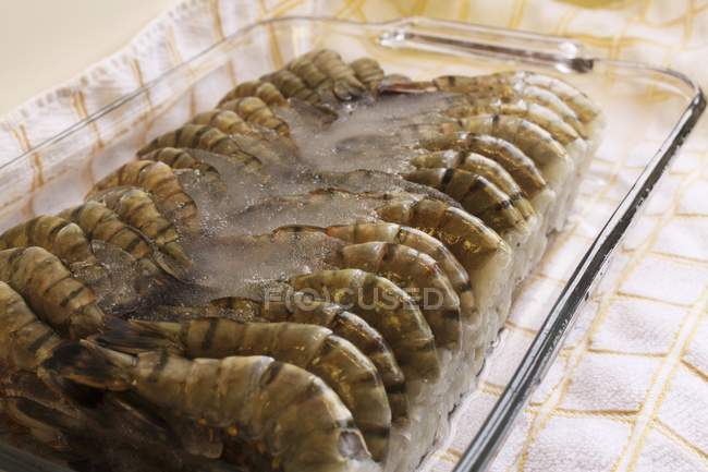 Заморожені raw тигрові креветки — стокове фото