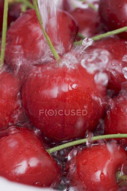 Свежие спелые вишни — стоковое фото