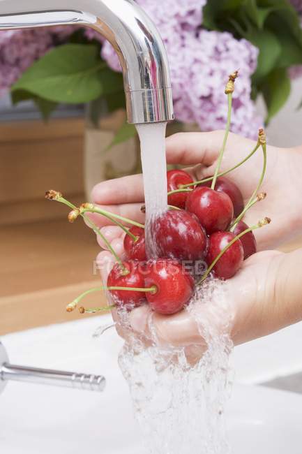 Mujer lavando cerezas maduras - foto de stock