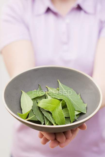Жінка тримає миску з лаврового листя — стокове фото