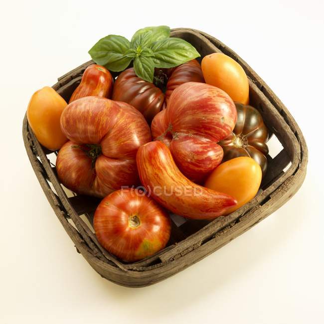 Cesta con tomates de reliquia - foto de stock