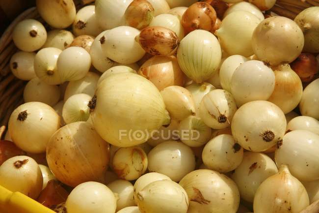 Cebollas en el Mercado de Agricultores - foto de stock