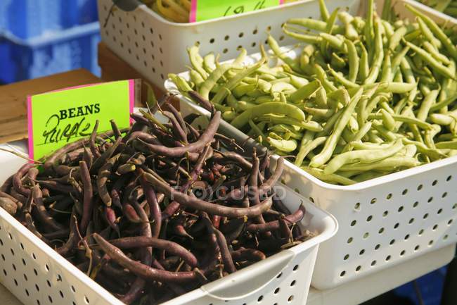 Organische violette und grüne Bohnen — Stockfoto