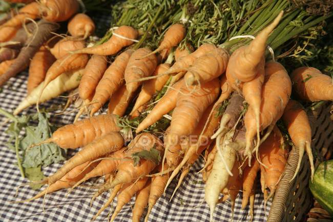 Zanahorias frescas ecológicas - foto de stock