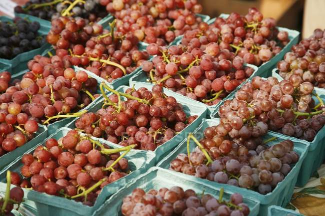Органический красный виноград — стоковое фото