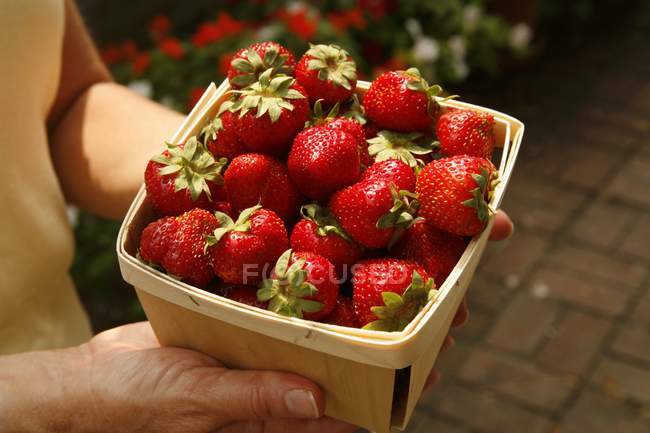 Woman holding basket with strawberries — Stock Photo