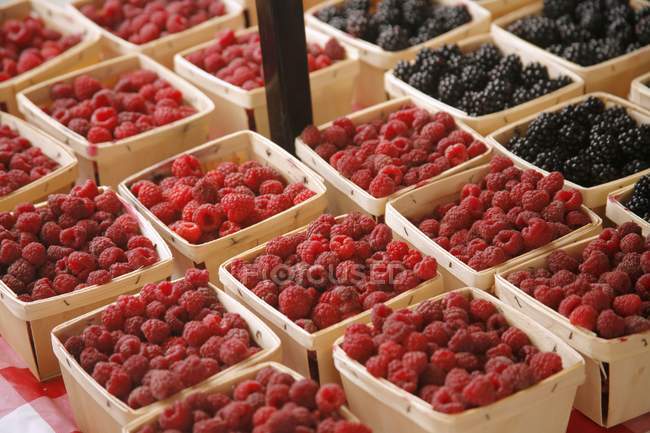 Organic Raspberries and Blackberries — Stock Photo