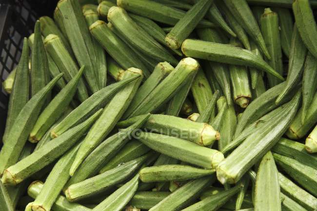 Cialde fresche di Okra biologica — Foto stock