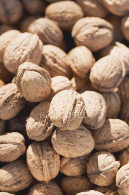 Beaucoup de noix entières — Photo de stock