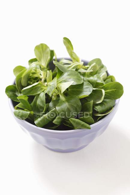 Fresh lambs lettuce in bowl — Stock Photo