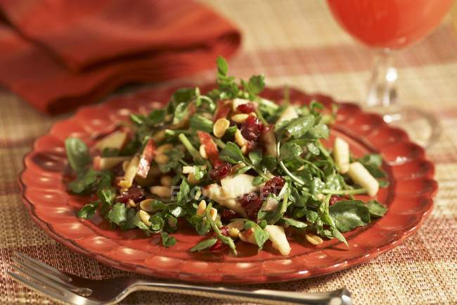 Watercress Salad with Apples — Stock Photo